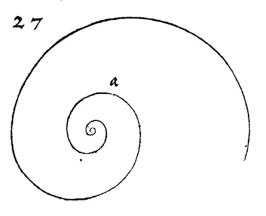 Dibujo de Durero en La Medida Dibujo de Durero en La Medida