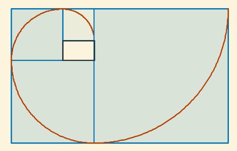 pseudoespiral de Durero pseudoespiral de Durero